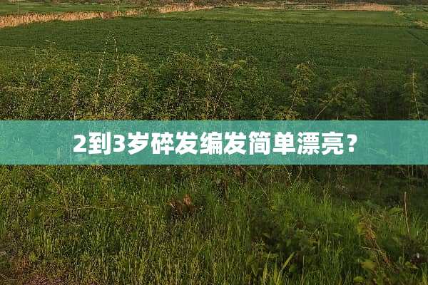 2到3岁碎发编发简单漂亮？