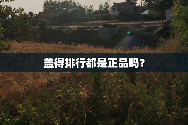 盖得排行都是正品吗？
