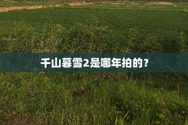 千山暮雪2是哪年拍的？