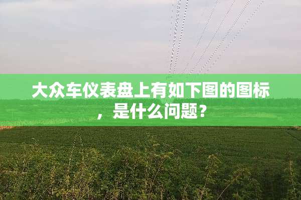 大众车仪表盘上有如下图的图标，是什么问题？