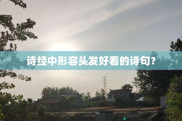 诗经中形容头发好看的诗句？