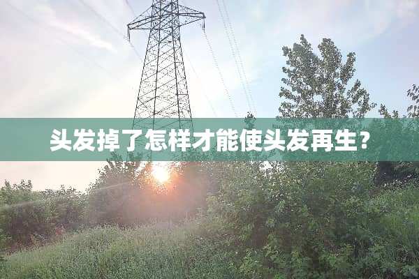 头发掉了怎样才能使头发再生？