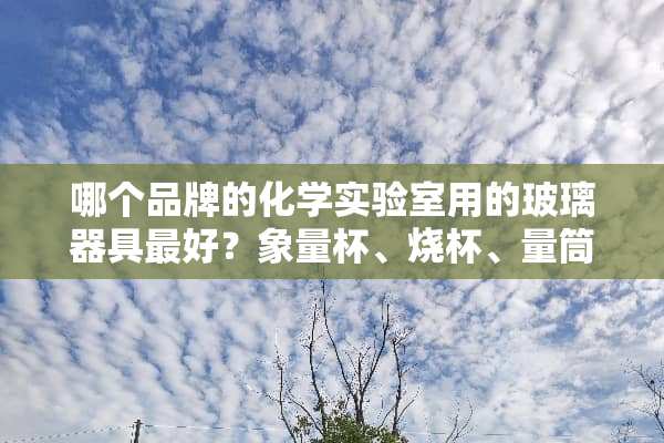 哪个品牌的化学实验室用的玻璃器具最好？象量杯、烧杯、量筒、移液管等等等等