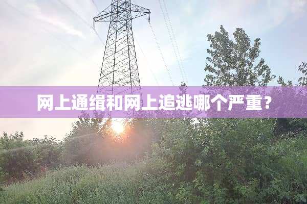 网上通缉和网上追逃哪个严重？