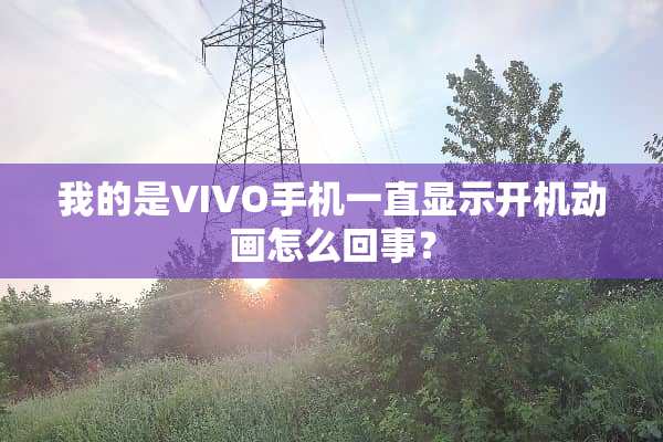 我的是VIVO手机一直显示开机动画怎么回事？