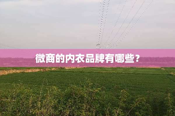 微商的**品牌有哪些？
