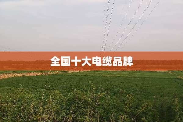 全国十大电缆品牌
