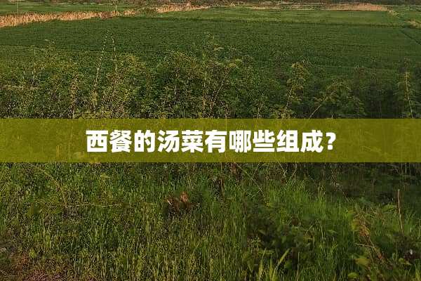 西餐的汤菜有哪些组成？
