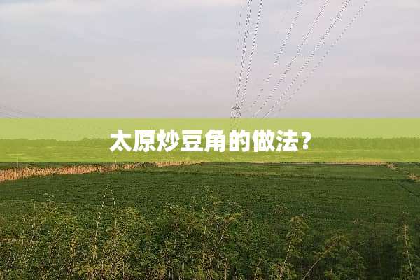太原炒豆角的做法？