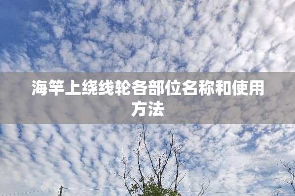 海竿上绕线轮各部位名称和使用方法