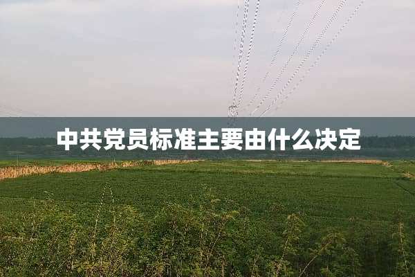 ***员标准主要由什么决定