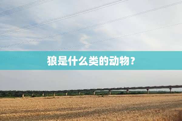 狼是什么类的动物？