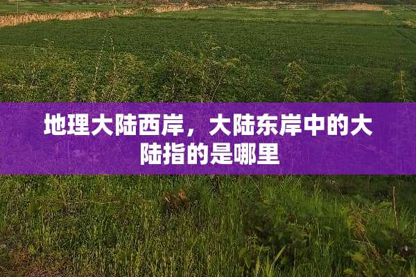 地理**西岸，**东岸中的**指的是哪里
