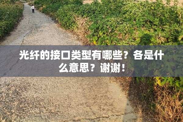 光纤的接口类型有哪些？各是什么意思？谢谢！