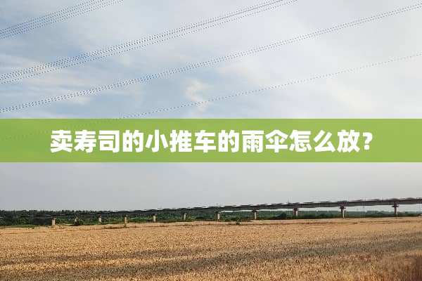 卖寿司的小推车的雨伞怎么放？