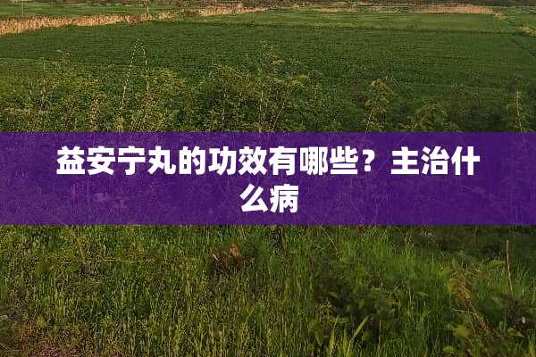 益安宁丸的功效有哪些？主治什么病