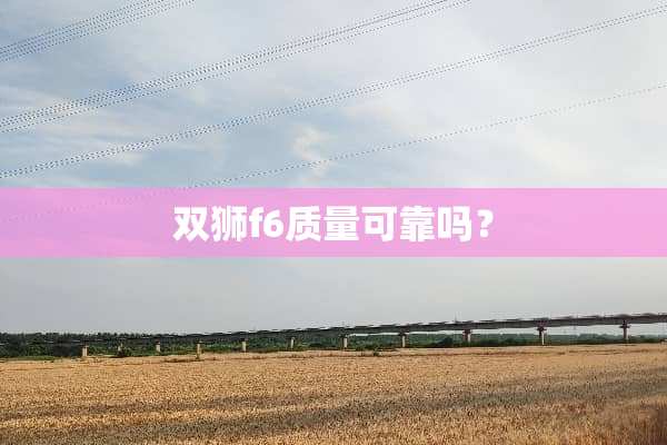 双狮f6质量可靠吗？