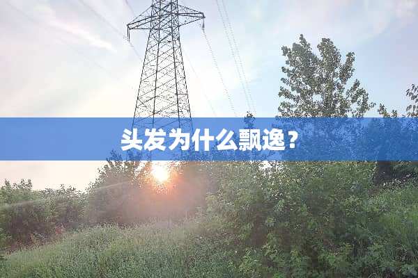 头发为什么飘逸？