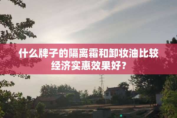 什么牌子的隔离霜和卸妆油比较经济实惠效果好？
