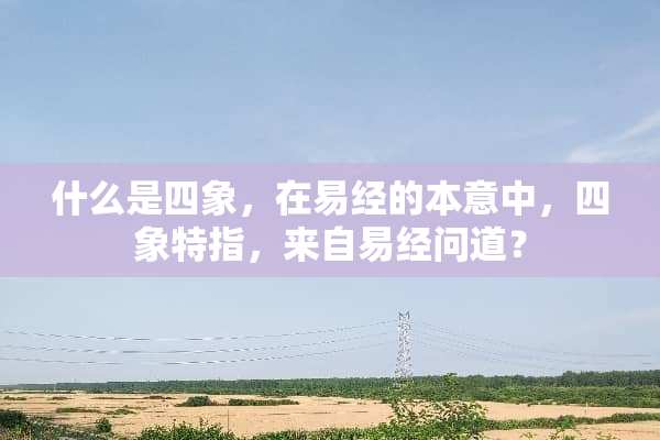 什么是四象，在易经的本意中，四象特指，来自易经问道？