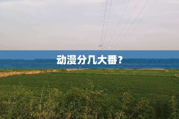 动漫分几大番？