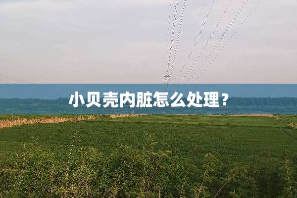 小贝壳内脏怎么处理？