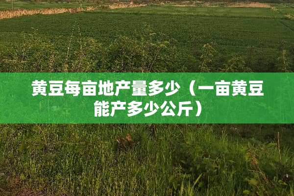 黄豆每亩地产量多少（一亩黄豆能产多少公斤）