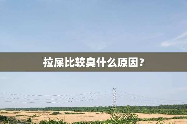 拉屎比较臭什么原因？