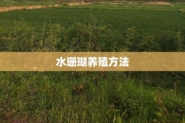 水珊瑚养殖方法