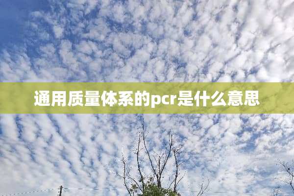 通用质量体系的pcr是什么意思