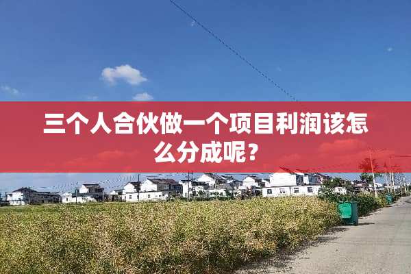 三个人合伙做一个项目利润该怎么分成呢？