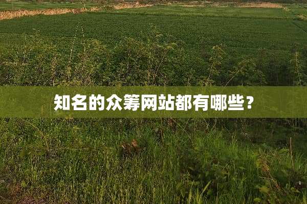 知名的众筹网站都有哪些？