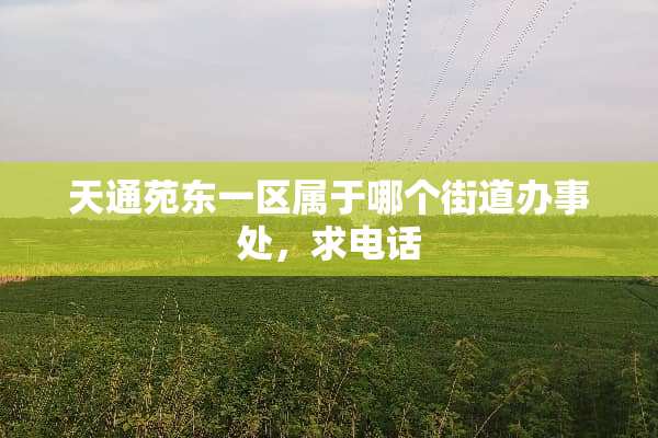 天通苑东一区属于哪个街道办事处，求电话