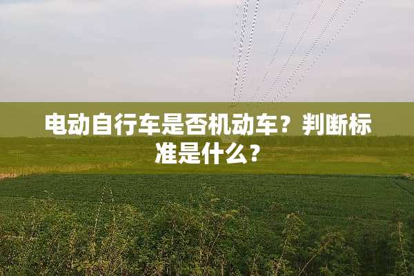电动自行车是否机动车？判断标准是什么？