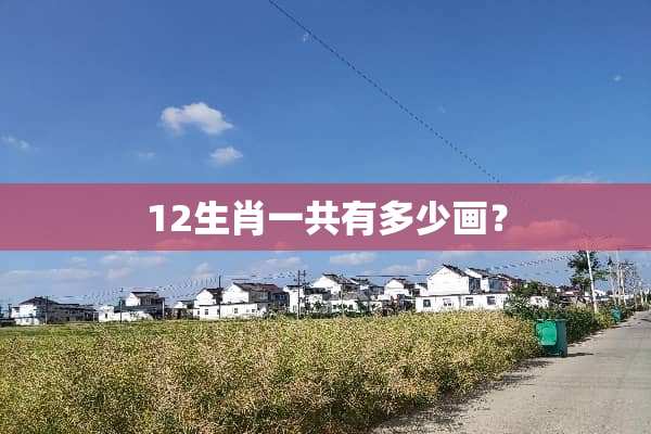12生肖一共有多少画？