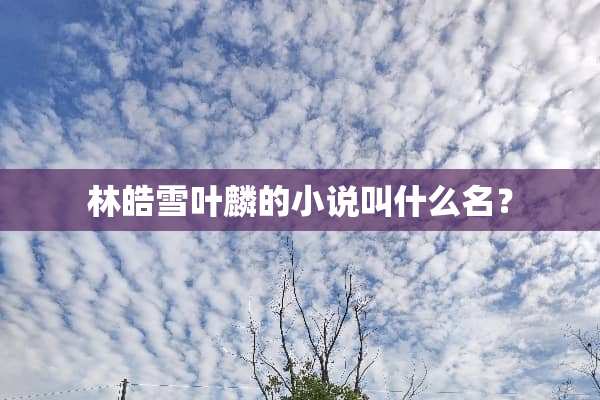 林皓雪叶麟的小说叫什么名？