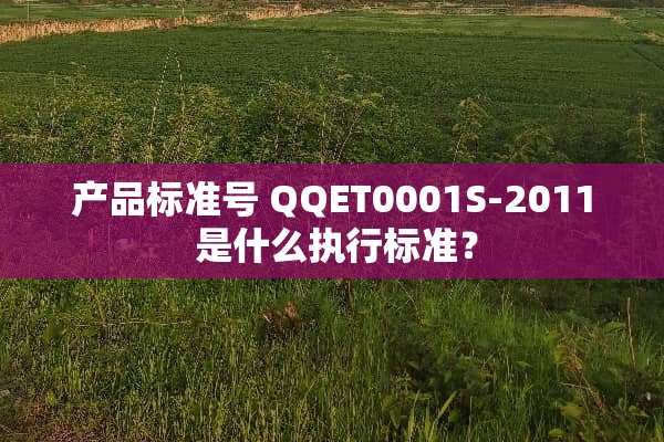 产品标准号 QQET0001S-2011 是什么执行标准？