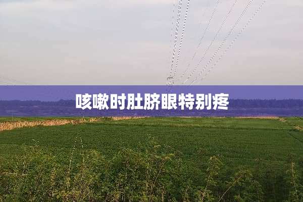咳嗽时肚脐眼特别疼