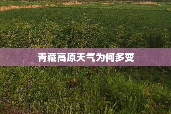 青藏高原天气为何多变