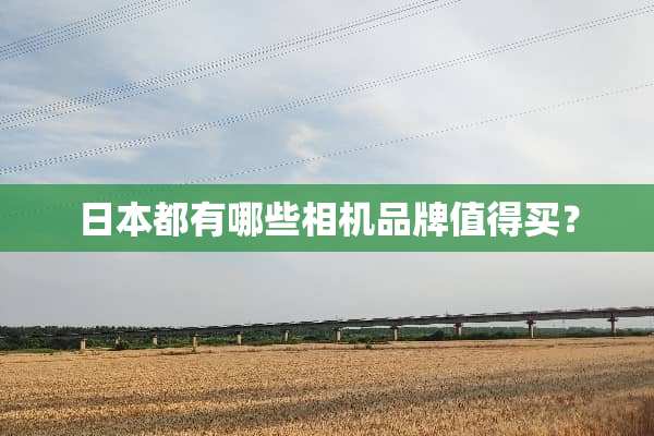 日本都有哪些相机品牌值得买？