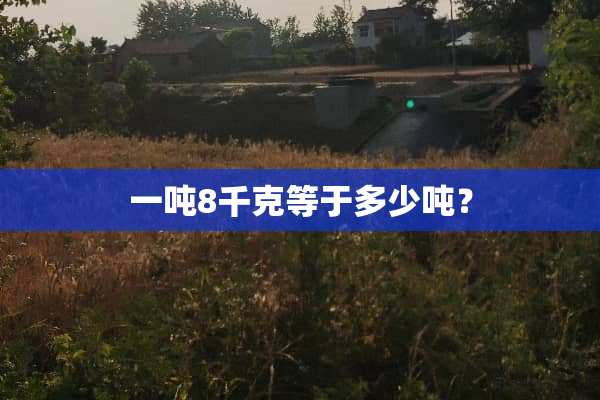 一吨8千克等于多少吨？