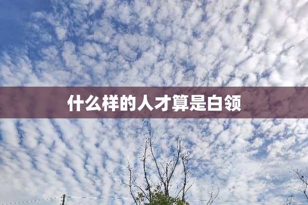 什么样的人才算是白领