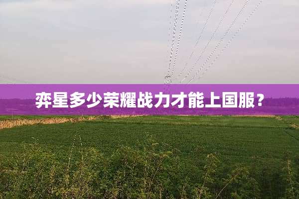 弈星多少荣耀战力才能上国服？