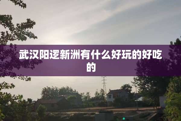 武汉阳逻新洲有什么好玩的好吃的