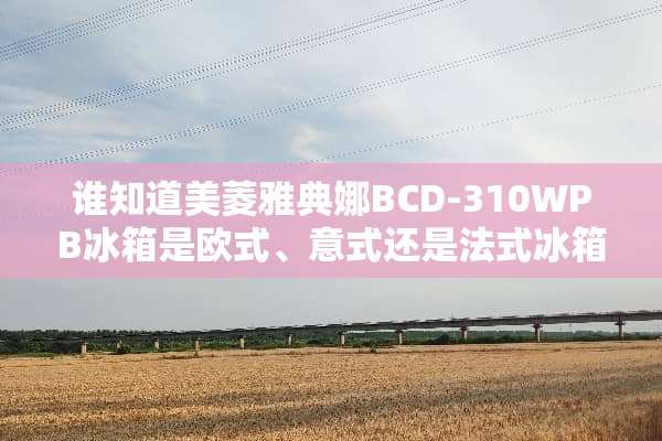 谁知道美菱雅典娜BCD-310WPB冰箱是欧式、意式还是法式冰箱？