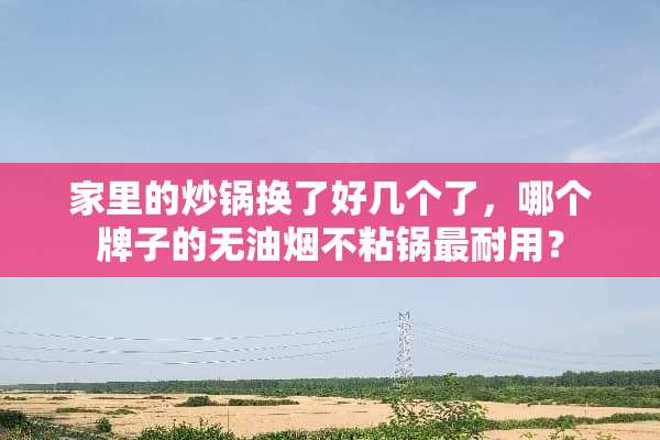 家里的炒锅换了好几个了，哪个牌子的无油烟不粘锅最耐用？