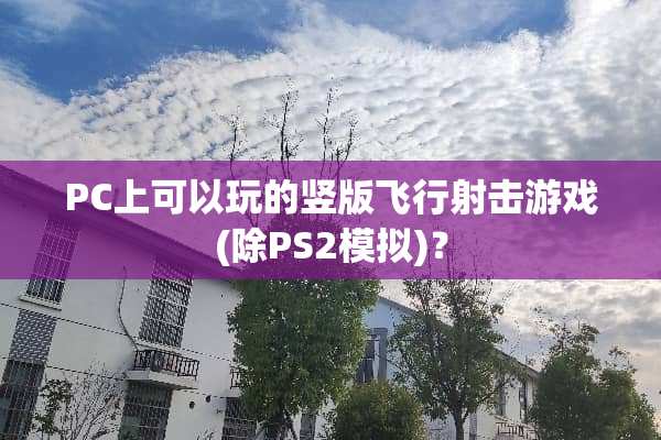 PC上可以玩的竖版飞行射击游戏(除PS2模拟)？