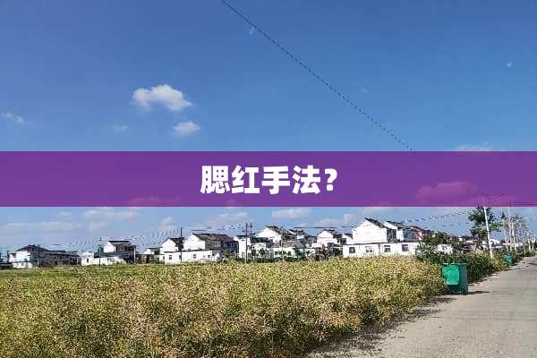腮红手法？