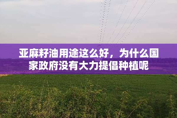 亚麻籽油用途这么好，为什么国家**没有大力提倡种植呢