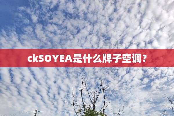 ckSOYEA是什么牌子空调？